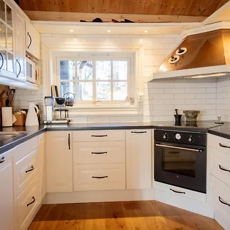 Budalen, Spacious Close To Skitracks *