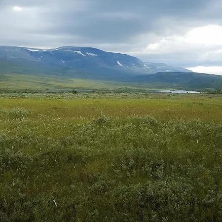 Budalen, Spacious Close To Skitracks Σπίτι διακοπών *