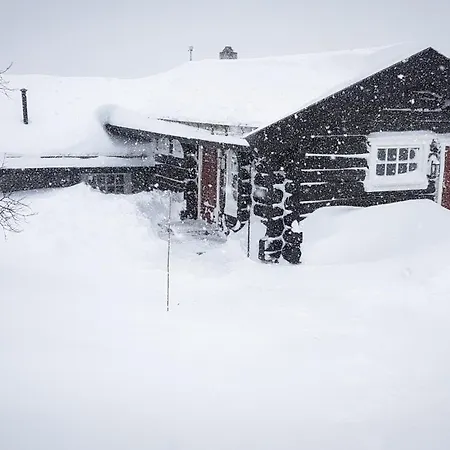Σπίτι διακοπών Budalen, Spacious Close To Skitracks Holo