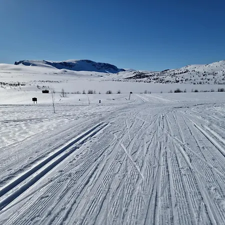 Budalen, Spacious Close To Skitracks Σπίτι διακοπών Holo